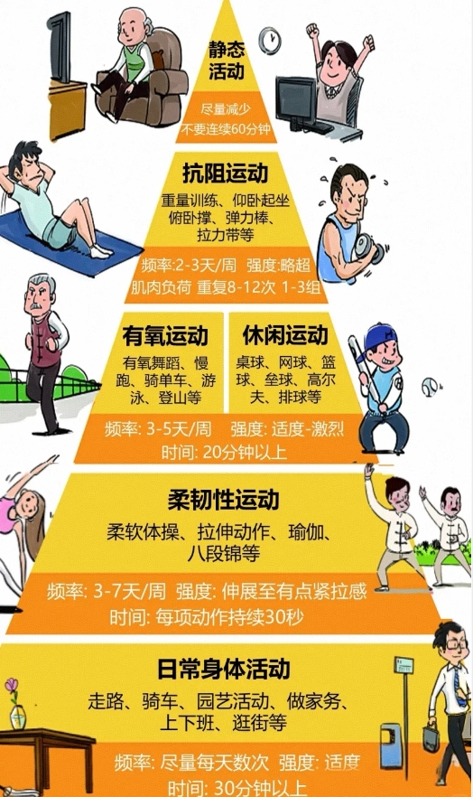 运动金字塔是什么？