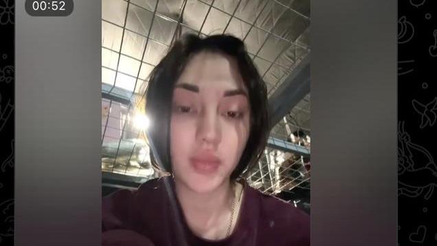 波尔塔瓦的打击：最新来源数据 - 1000多名精锐士兵被消灭。