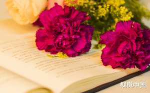 老公被他小情人的男朋友捅死后，我成了富婆。