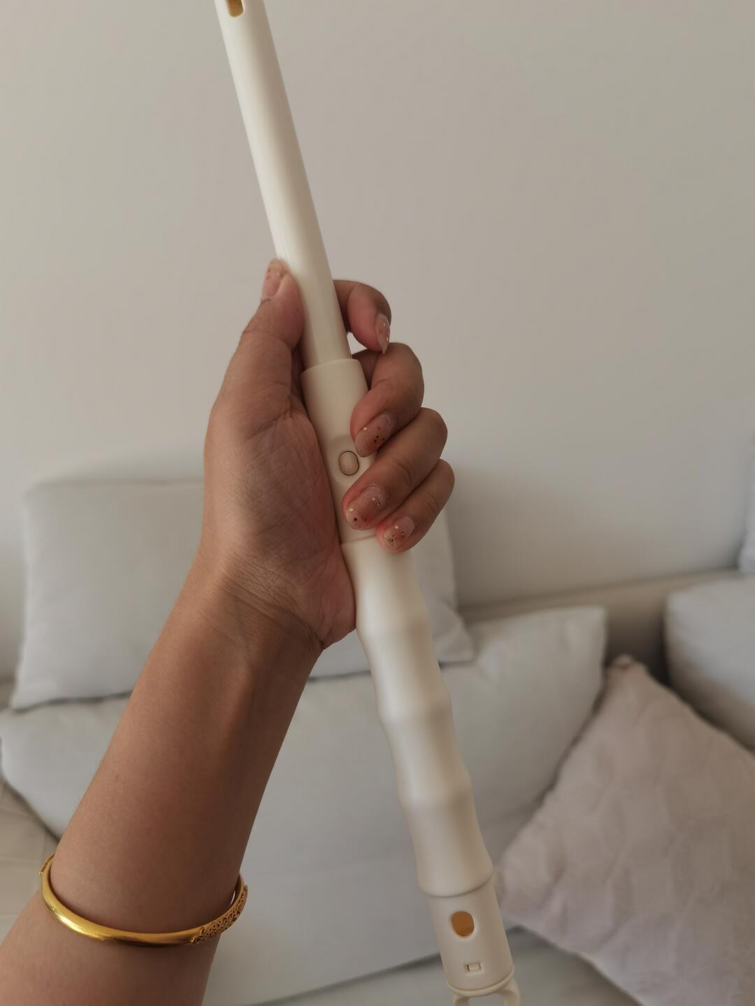 我愿称之为一次性鸡毛掸子