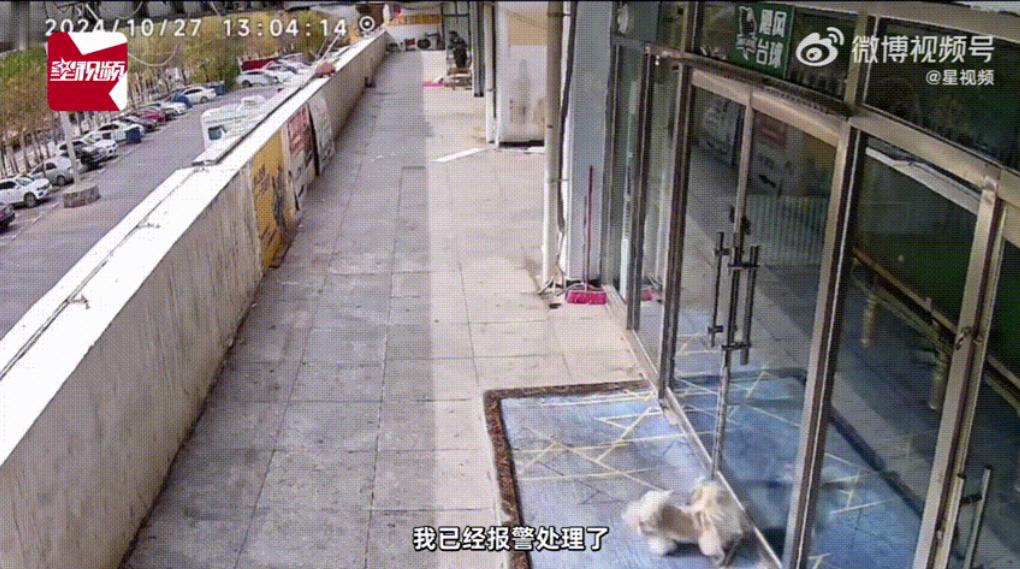 河北张家口，一名女子发视频称，因自家宠物狗跑到台球店门口排泄，遭到店员持球杆抽打