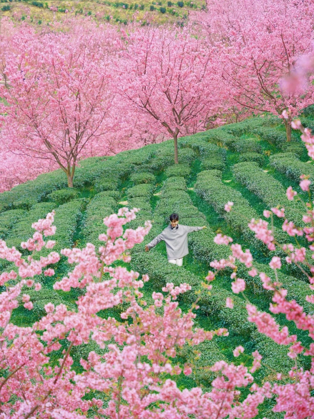 我发誓❗️真的在广东，不是大理，被美哭了
梅州真的太低调了🥹
第一次听说阴那山