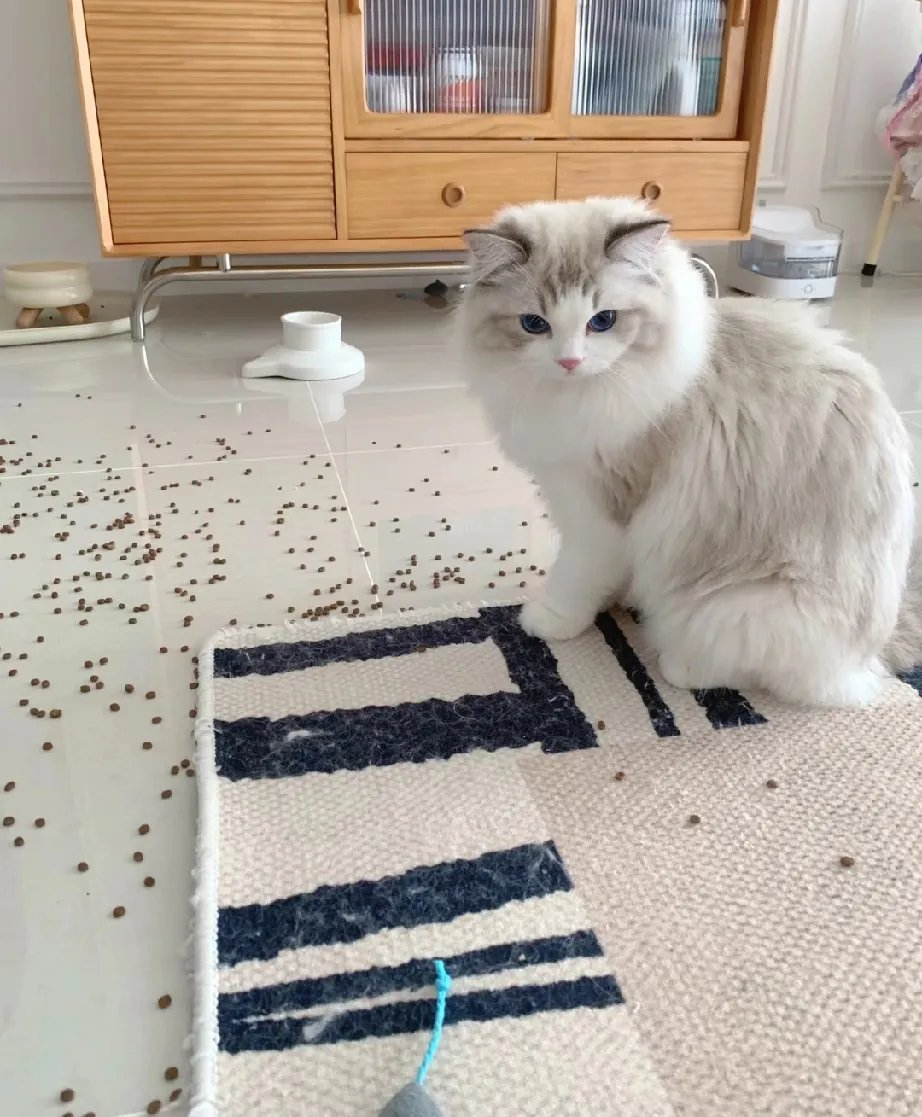 他怎么顶着张无辜的脸 , 到处捣乱啊