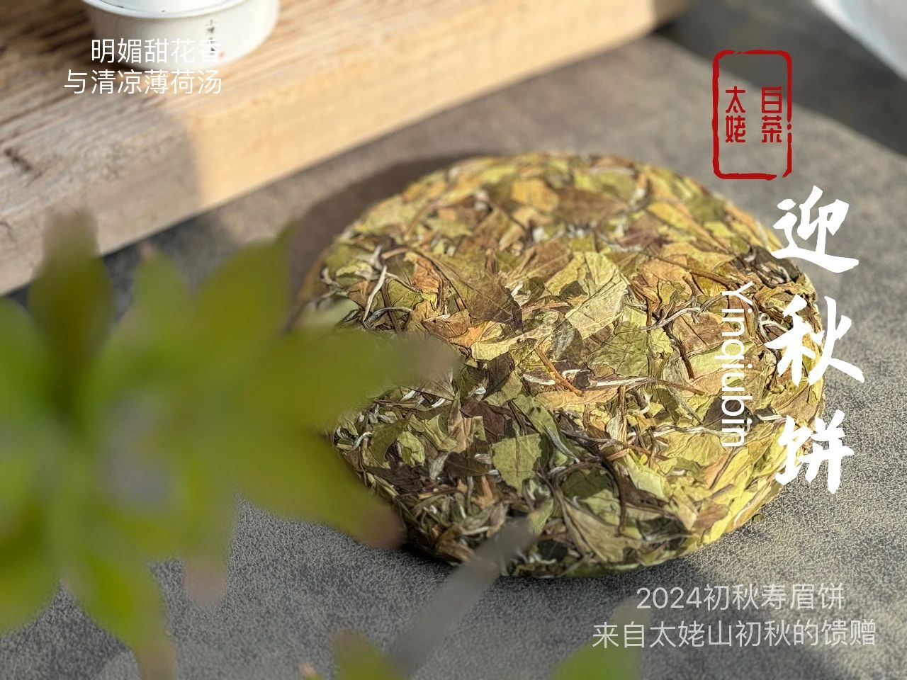 白茶饼要闷到茶叶散开才能出汤？