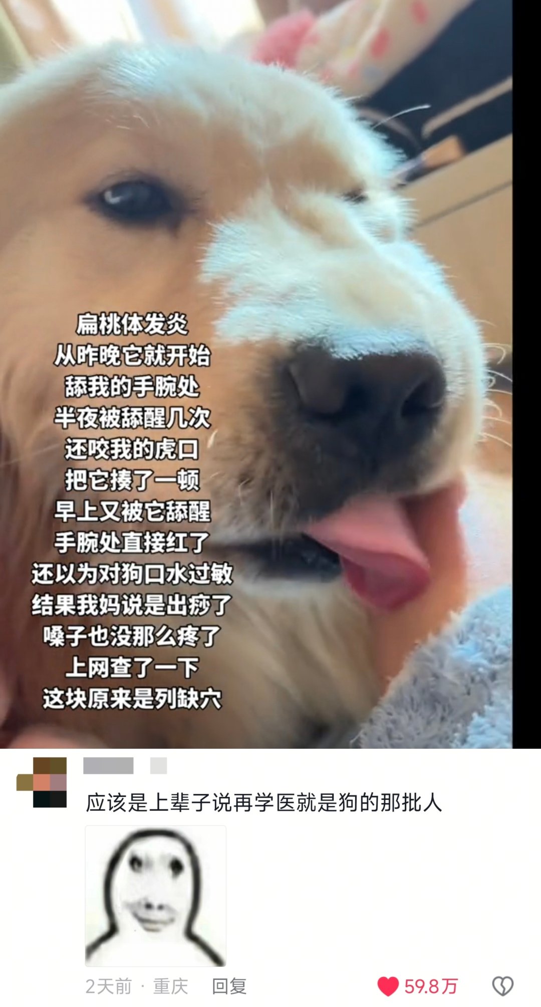 汪汪队立大功！