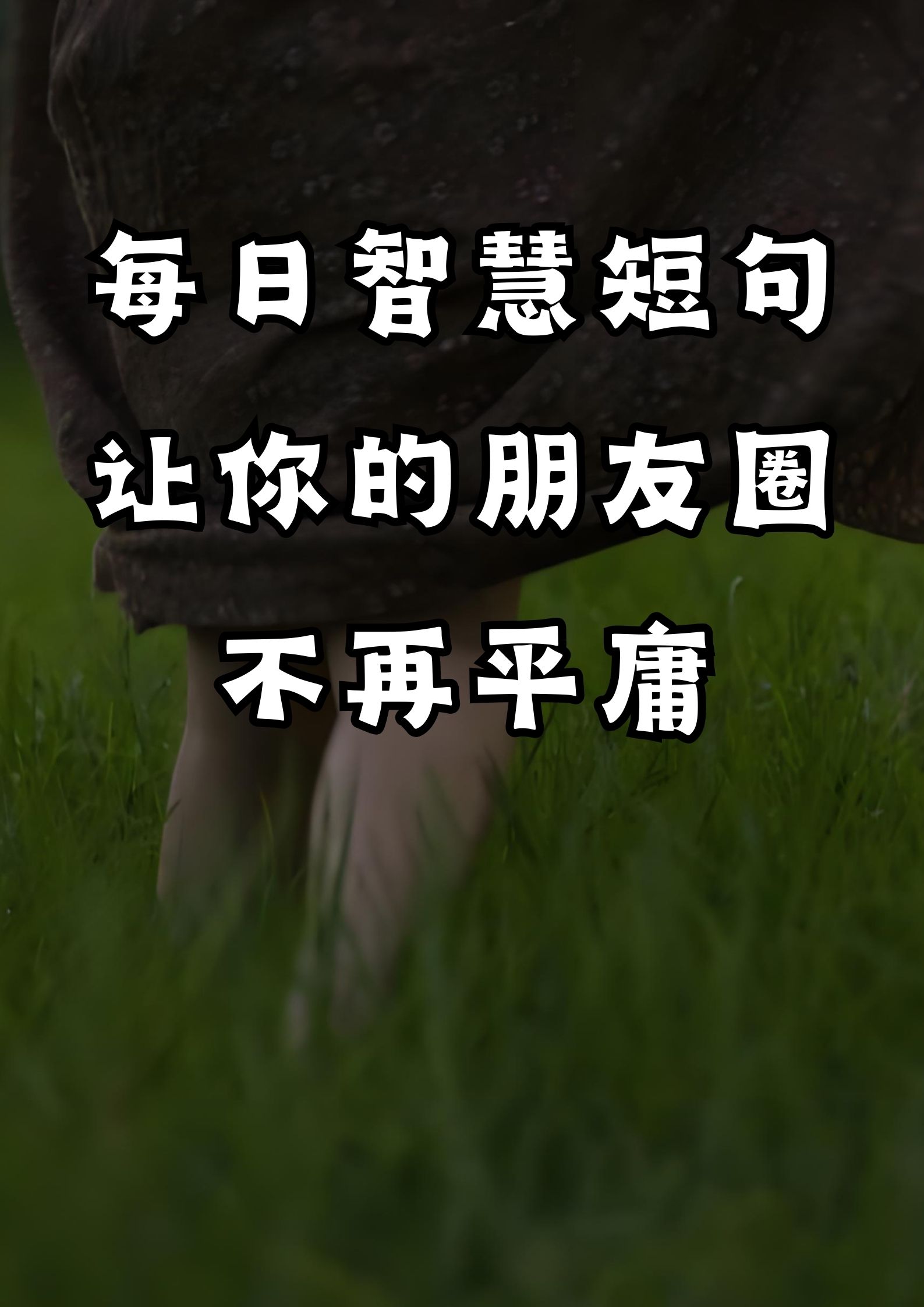 每日智慧短句，让你的朋友圈不再平庸！
