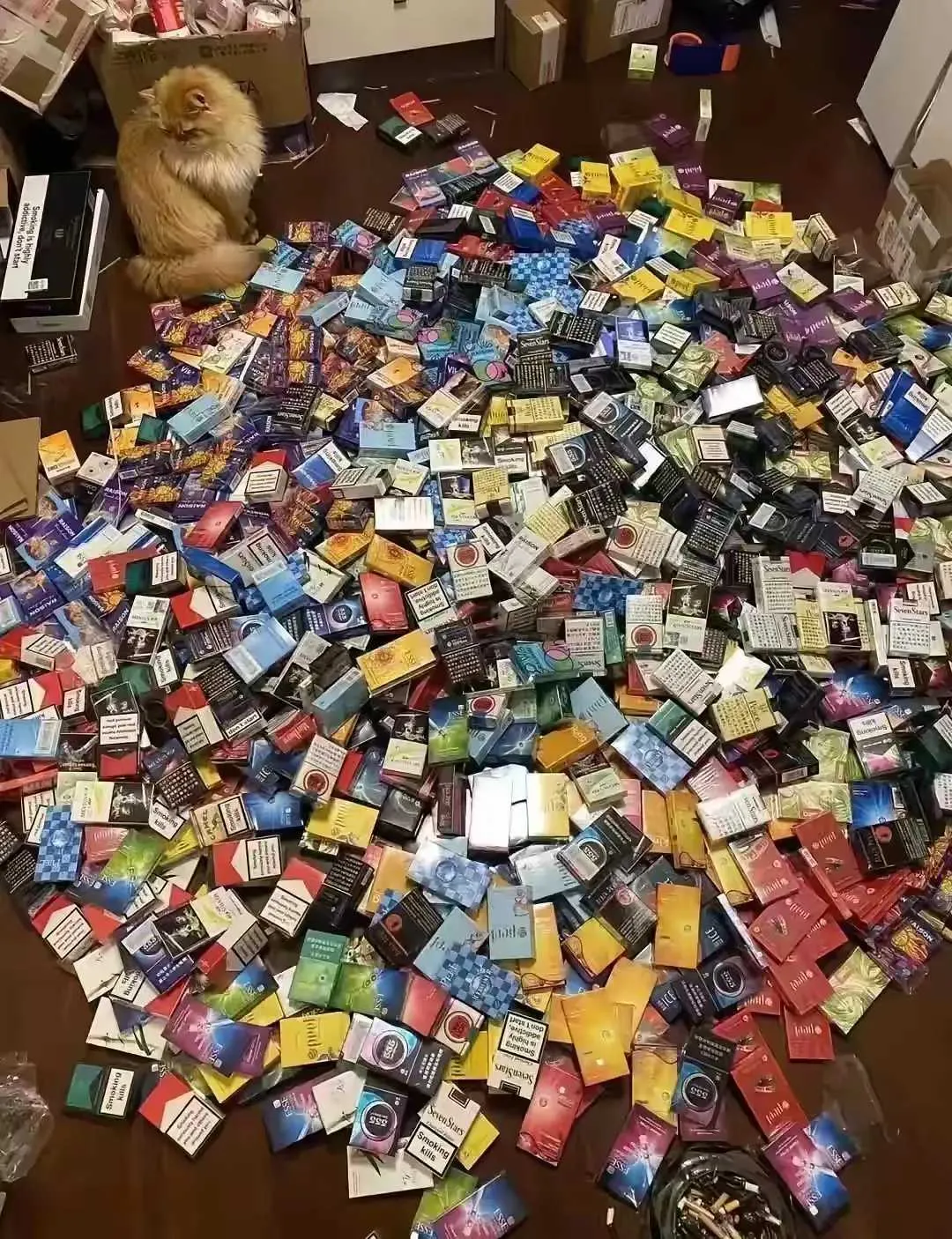 老公半年的量，这在什么水平？？？