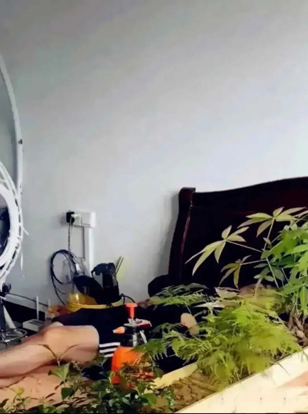 分床睡的最高境界，见笑了！[捂脸][捂脸][捂脸]