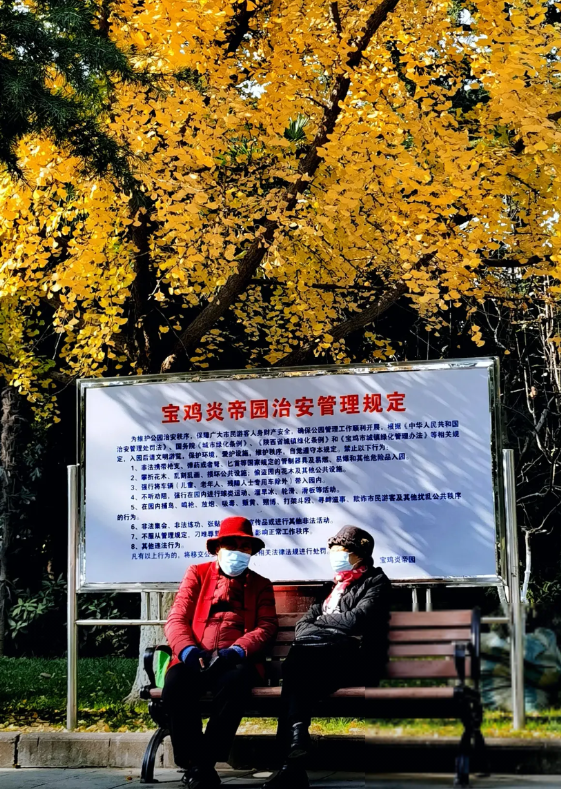 金色摇风铃，听取沙沙声。
有叶随意飘飘去，低头醉黄金。
  ——好奇的打望者
