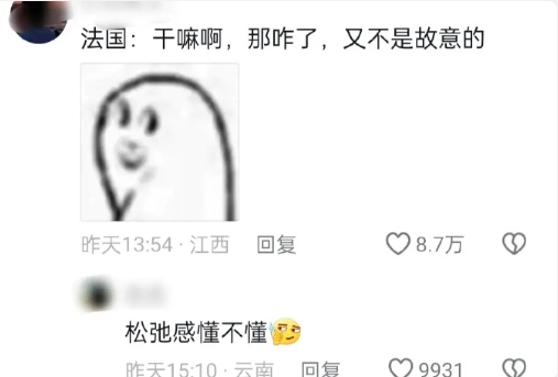 巴黎奥运会奖牌榜弄错了韩国国旗，这样的乌龙对于韩国来说真的不止一次。

如果说是