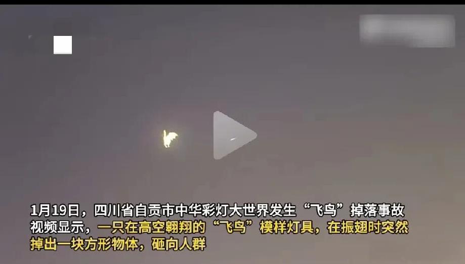 1月19日，四川省自贡市中华彩灯大世界发生惊险一幕，一只高空翱翔的“飞鸟”灯具在