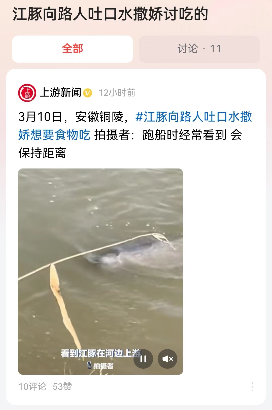 #江豚向路人吐口水撒娇讨吃的#这可是极其珍稀的保护动物，有网友说如果江豚同大熊猫