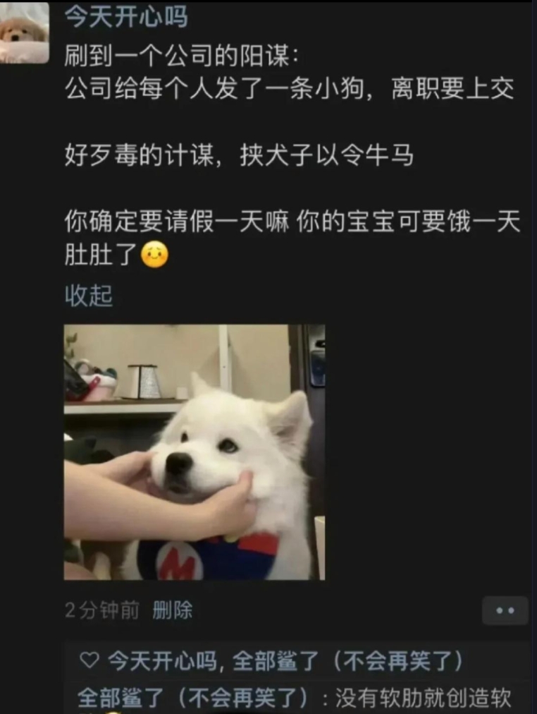 网友太搞笑了哈哈哈哈神评