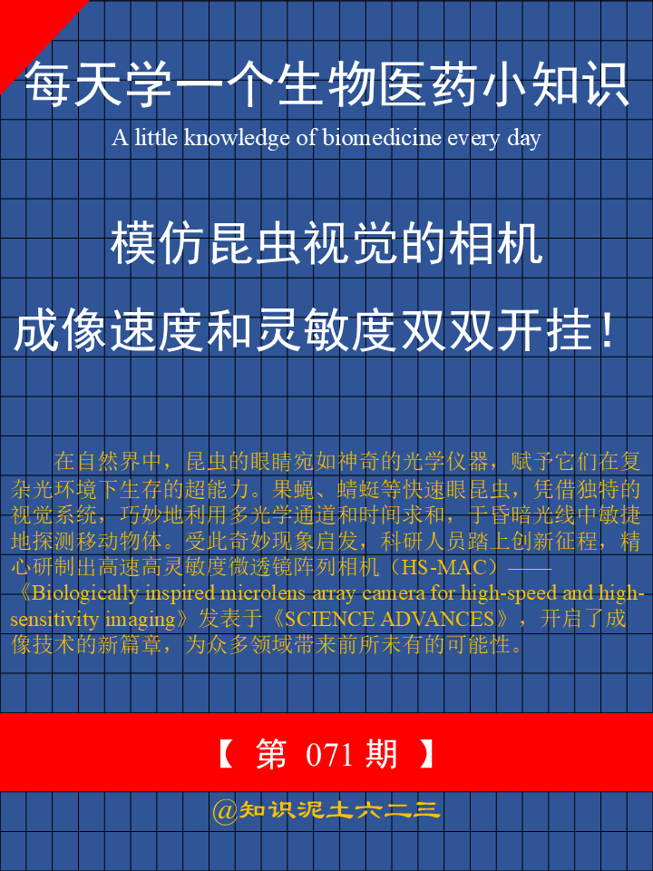 在自然界中，昆虫的眼睛宛如神奇的光学仪器，赋予它们在复杂光环境下生存的超能力。果