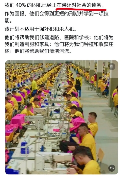 他们的囚犯劳动叫偿还对社会的债务，在中国欧美说是“强迫劳动”
