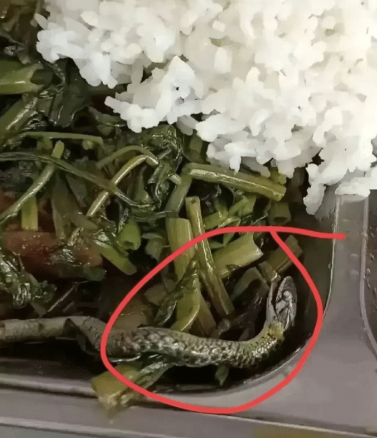 在熙熙攘攘的广东街头，一家快餐店内发生了一起意想不到的“盘中惊魂”。一名男子正准