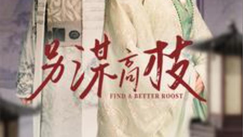 短剧在线观看《另谋高枝》完整版全集（100集）