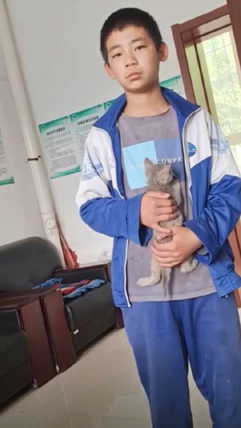 大家还记得这个捡到流浪猫后哭了的男孩吗？
居然有后续了！！！
看完整一个大泪目，