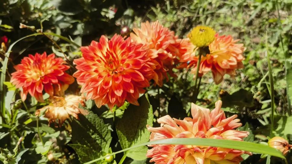 善念, 善行, 善事