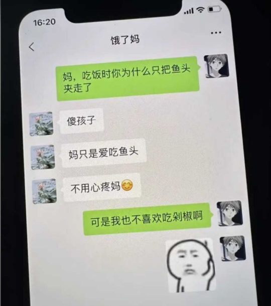以为是母爱，结果没有爱