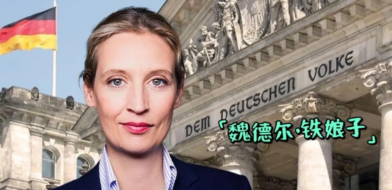 德国为什么能够屡次东山再起？魏德尔老师说：德国一战失败后，二战惨败，然而德国依然