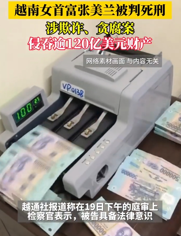 看了下简介。张美兰是华人。祖籍潮州汕头。不清楚她的被逮内情。说是诈骗，华人在越南