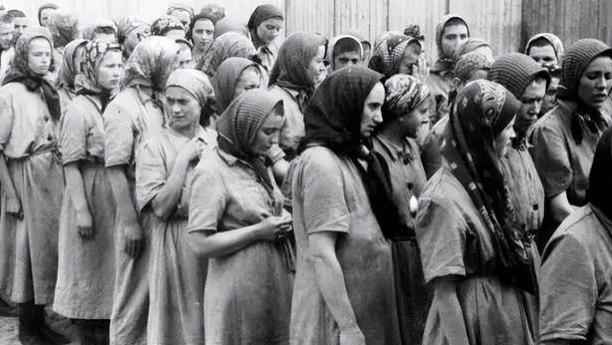 《奥斯维辛：一部历史》：最暗的夜中也闪烁着人性温暖的光