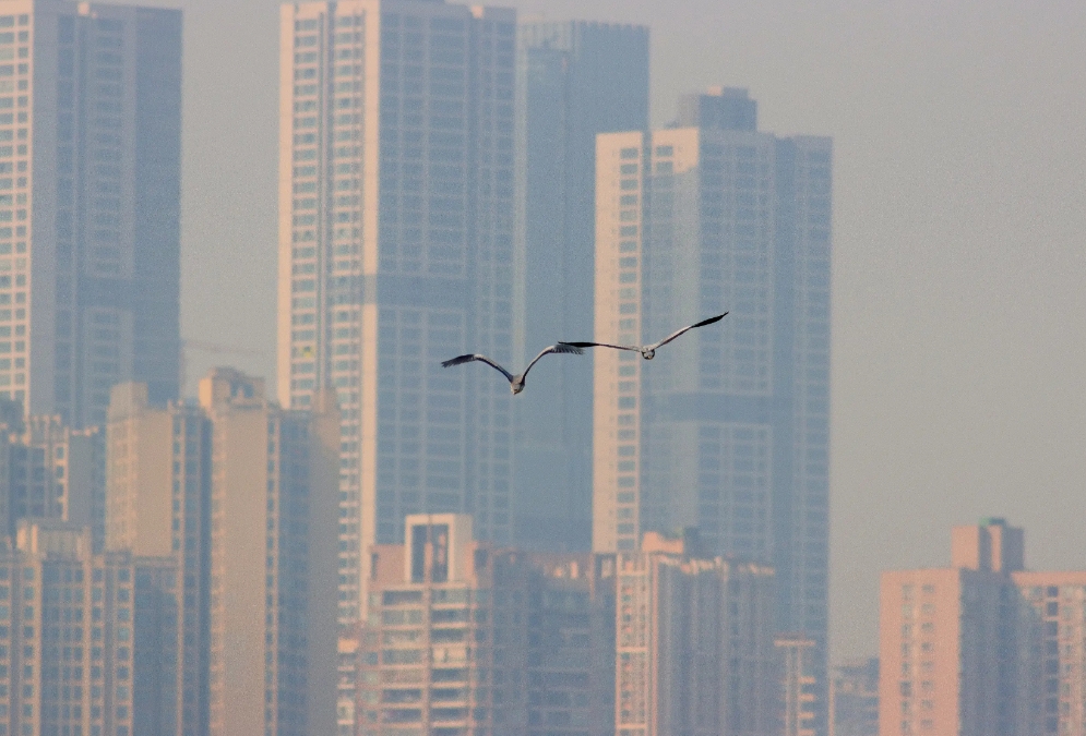 如果真的第三次世界大战爆发，中国必须坚决地置身事外。热战没有赢家！只要没有攻击领