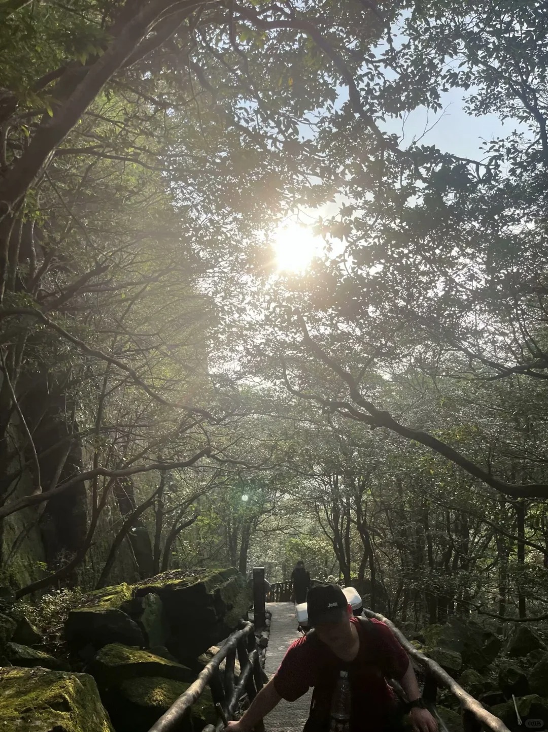 我很好奇一件事 我和前女友谈了一年多 她为什么可以做到分开不到1个月又谈上男朋友