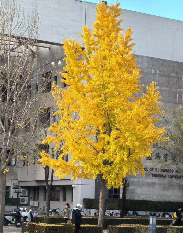 怎么没人管管现在高三的教育模式？
今天早上六点的闹钟根本叫不醒我了，孩子也起不来