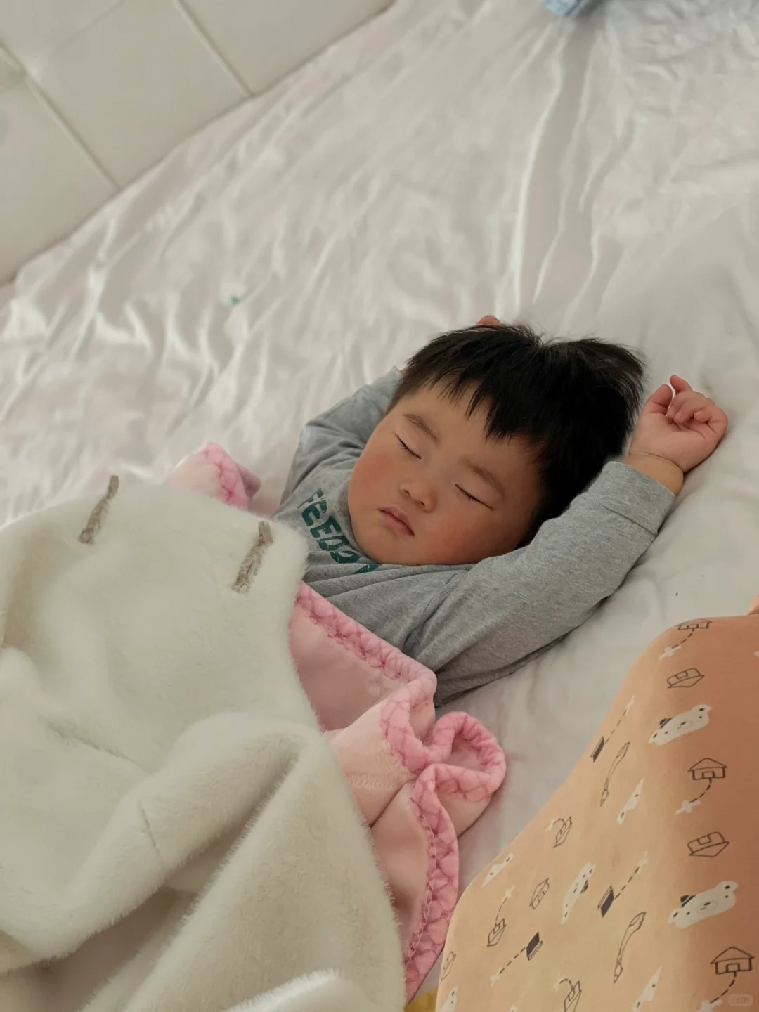 养了一年被告知抱错了，怎么办！我甚至不敢
面对这个问题！
无意间看到一个网友提出
