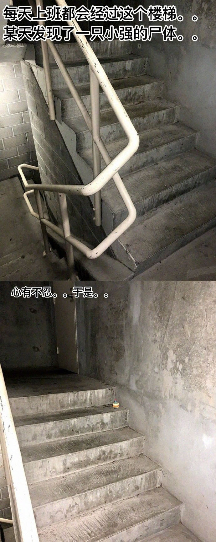 这位网友也太有才了