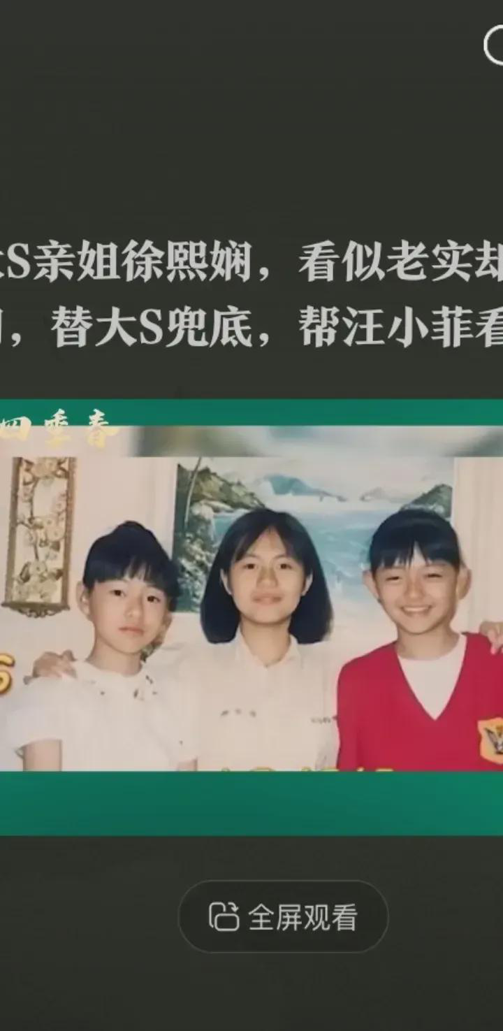  
 
 
 
徐熙娴的生活轨迹和两个妹妹截然不同。当年娱乐公司向她抛出橄榄枝，
