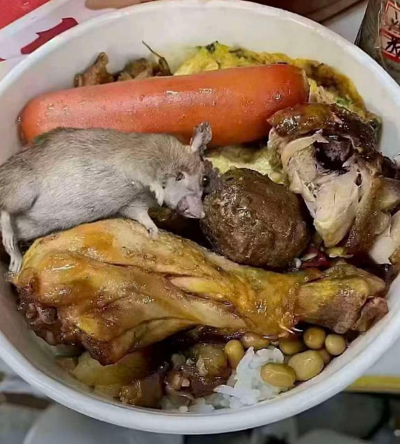 今天点的外卖，老板还给加餐