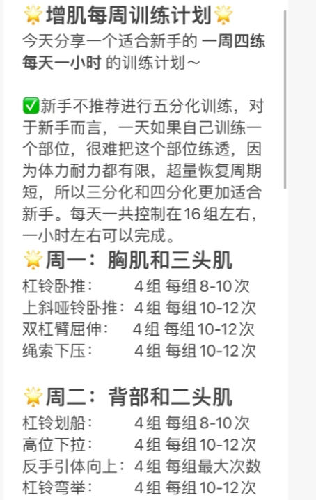 新手健身一周训练计划！

新手不推荐进行五分化训练，对于新手而言，一天如果自己训