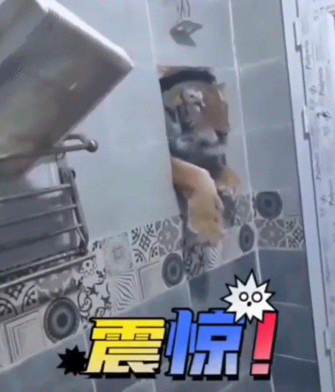 一男子在景区游玩时去上厕所，哪知刚进厕所就发现身后窗户有响动，结果一转头差点吓得