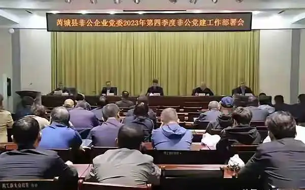 党管私企？