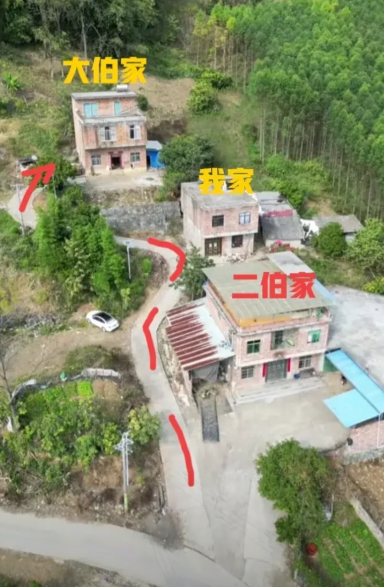 大伯竟然没商量就修了新路！这可如何是好啊？打工三年没回来，最近回来才发现，大伯竟