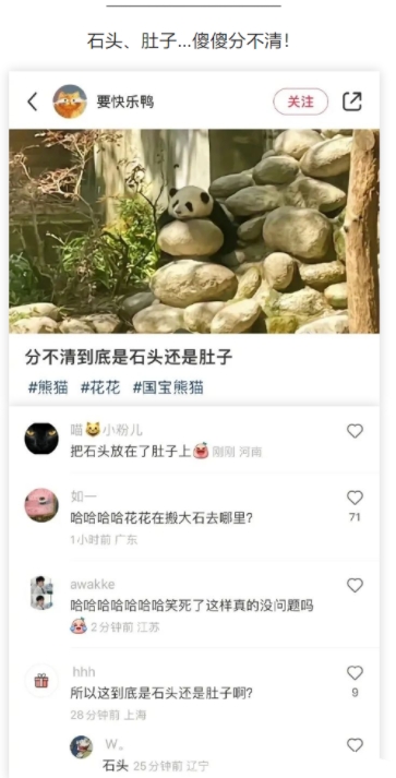 傻傻分不清！