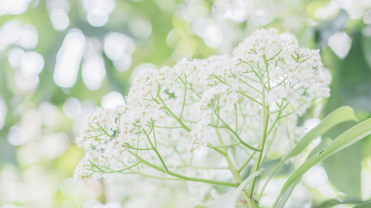 许夜杨雪《觉醒空间，我和女知青相依为命》许夜正处于半梦半醒之间，杨雪的话语在寂静的房间里骤然响起