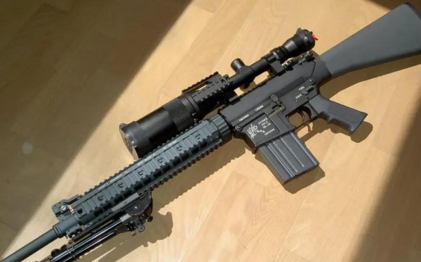 MK11狙击步枪是SR-25的衍生型号，也可以说，它是SR-25的正式军用版。M
