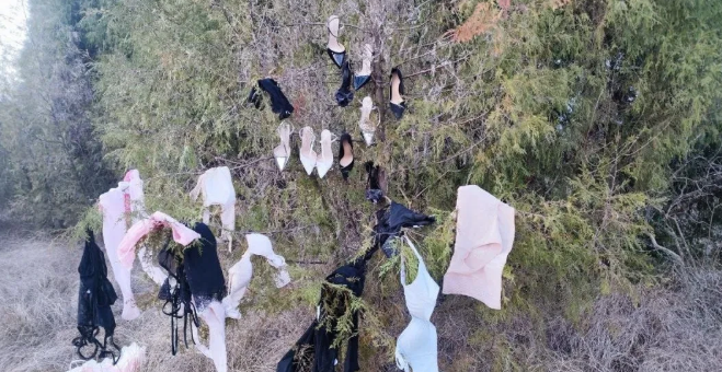 这难道是失物招领处吗？