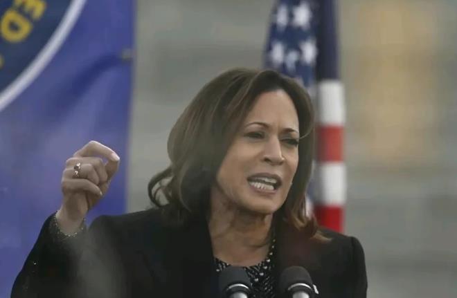 不可思议！哈里斯竟然赢麻了！
万万没想到，哈里斯成了民主党的总统竞选人以后，竟然