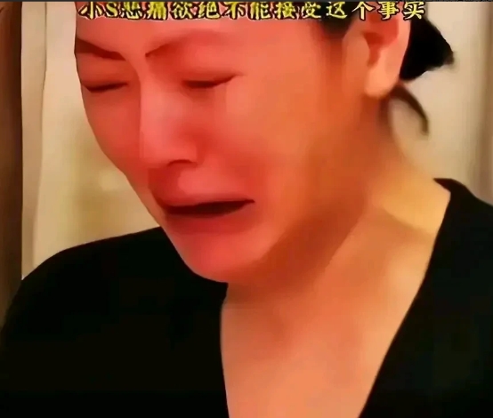 小S比大S精明，体现在哪些方面呢？

小S无时无刻不在健身，而大S却食用漂白剂、