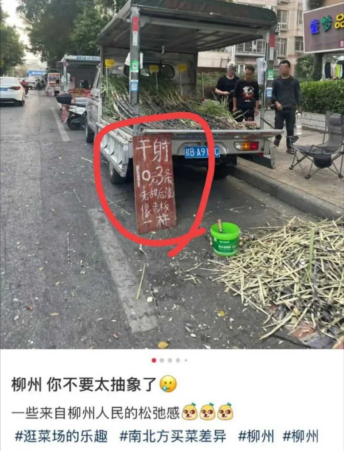 得有多高的文化，才能达到这个高度？ 