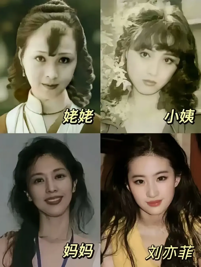 看来漂亮真是遗传的，刘亦菲的小姨应该是最漂亮的。