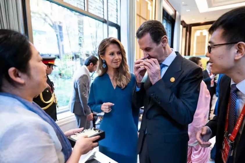 叙利亚阿萨德政权虽然被推翻，但也不要慌！