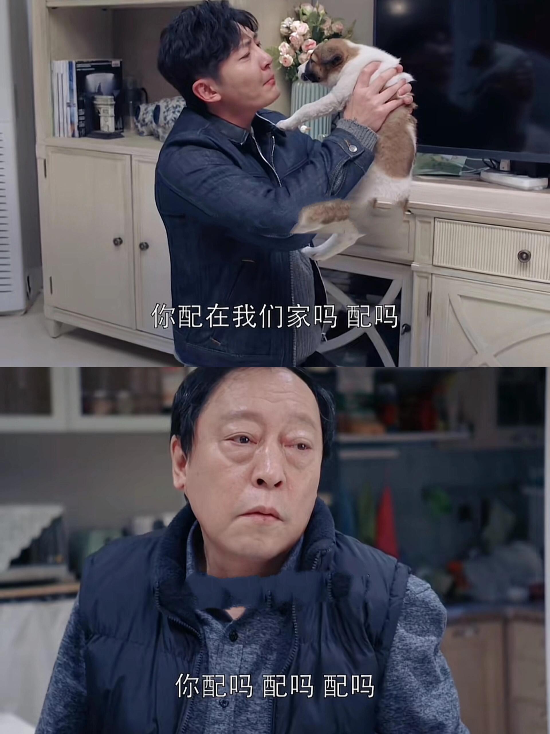 苏家老二，拒绝精神内耗，有事就直接发疯