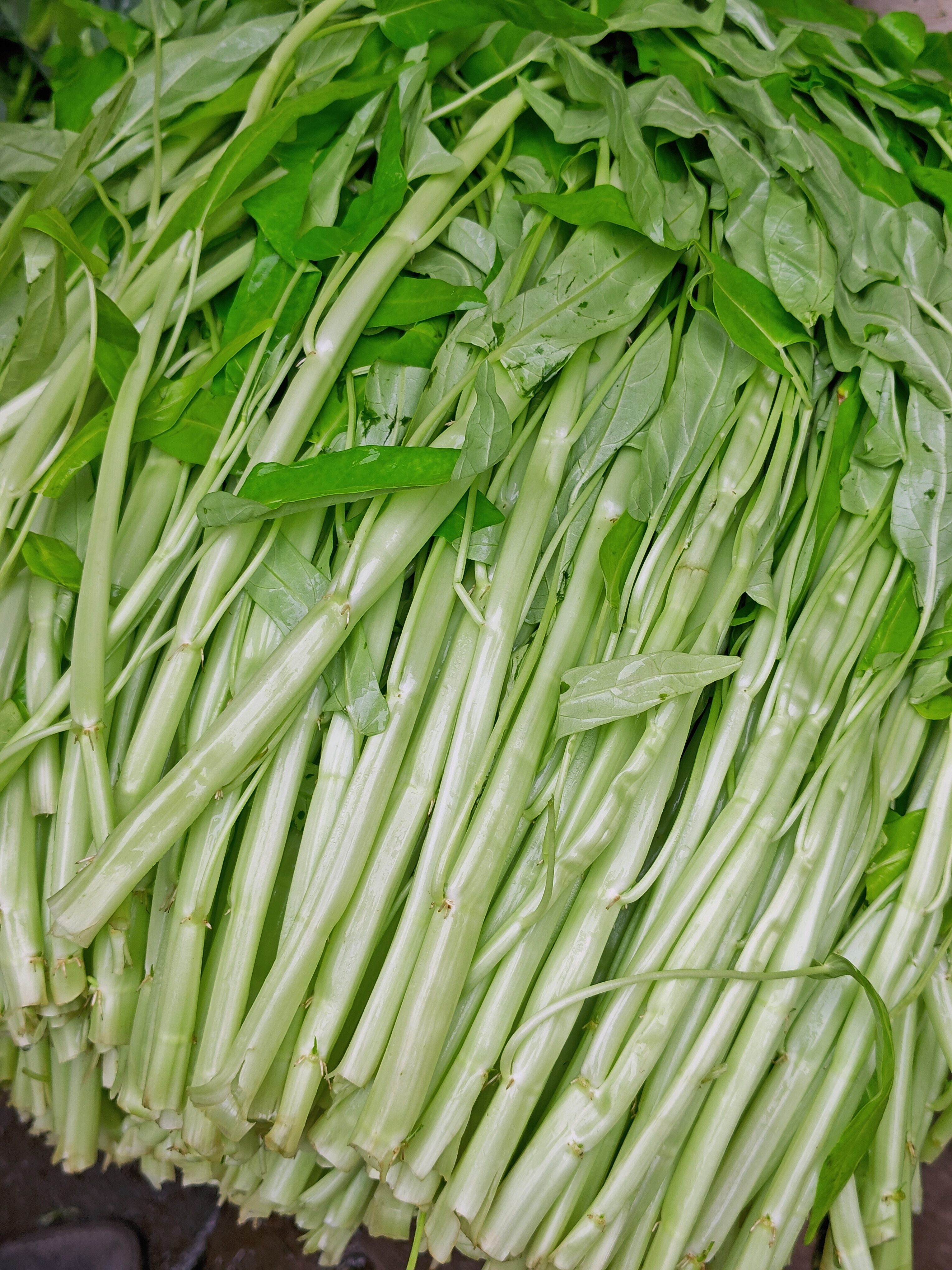 正常的白骨通菜（空心菜）上市了，但还要5元一斤，太贵。之前冬天卖的，瘦长带根，怀