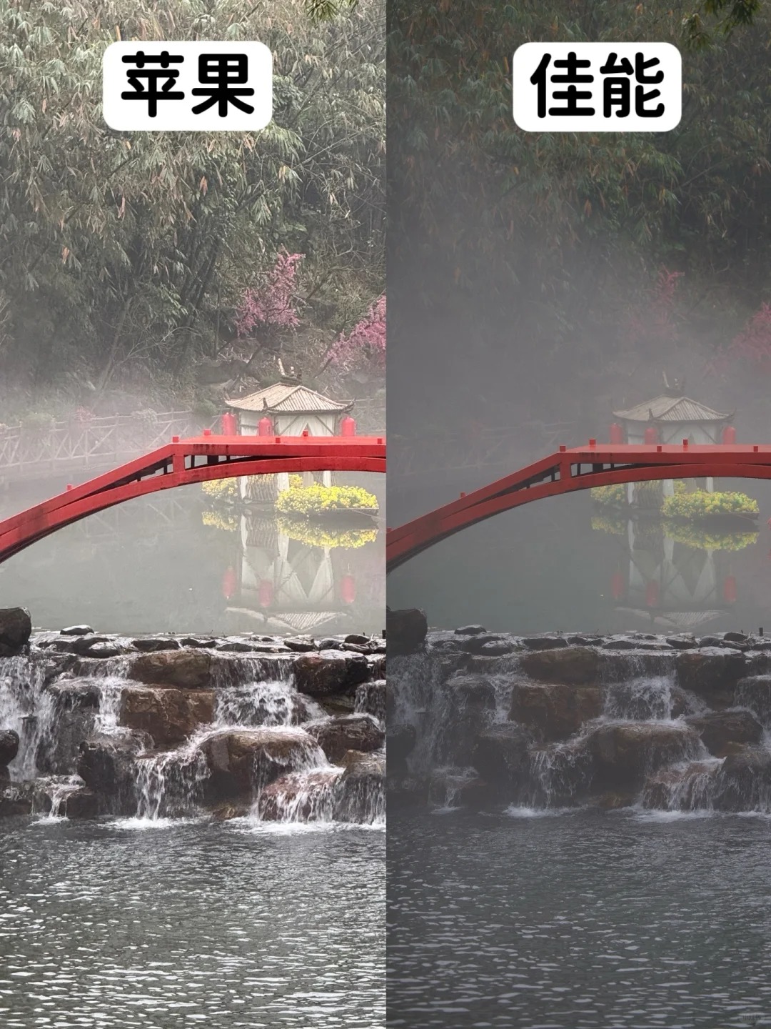 不懂就问，为啥我用佳能雨中拍的这么糊呀？
【对比器材】⚙️：
📱iPhone 